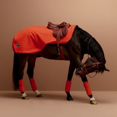 Horse | Hermès USA